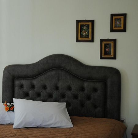 Horizon Hotel Ioannina Buitenkant foto