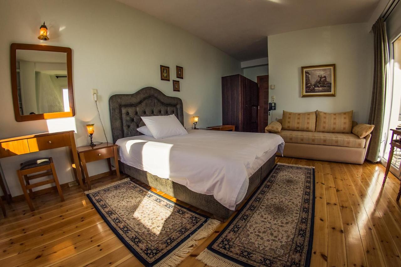 Horizon Hotel Ioannina Buitenkant foto